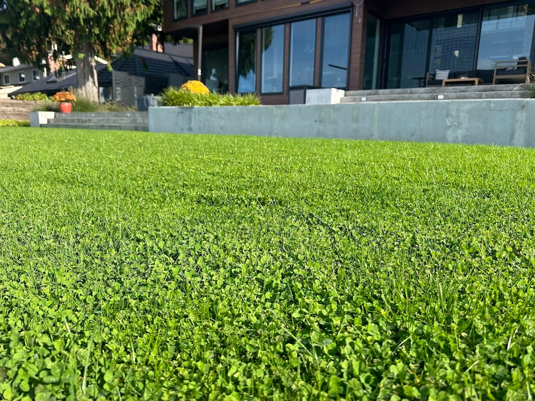 Clover Turf photo 2