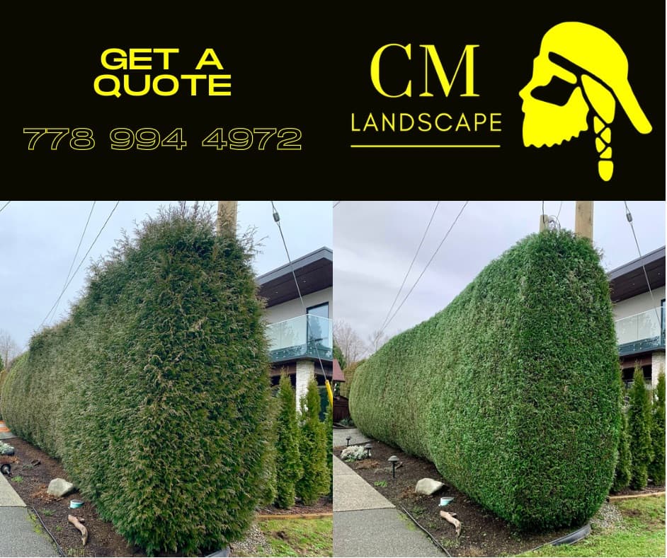 CM Landscape photo 2