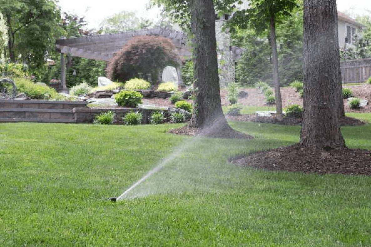 College Sprinklers project photo