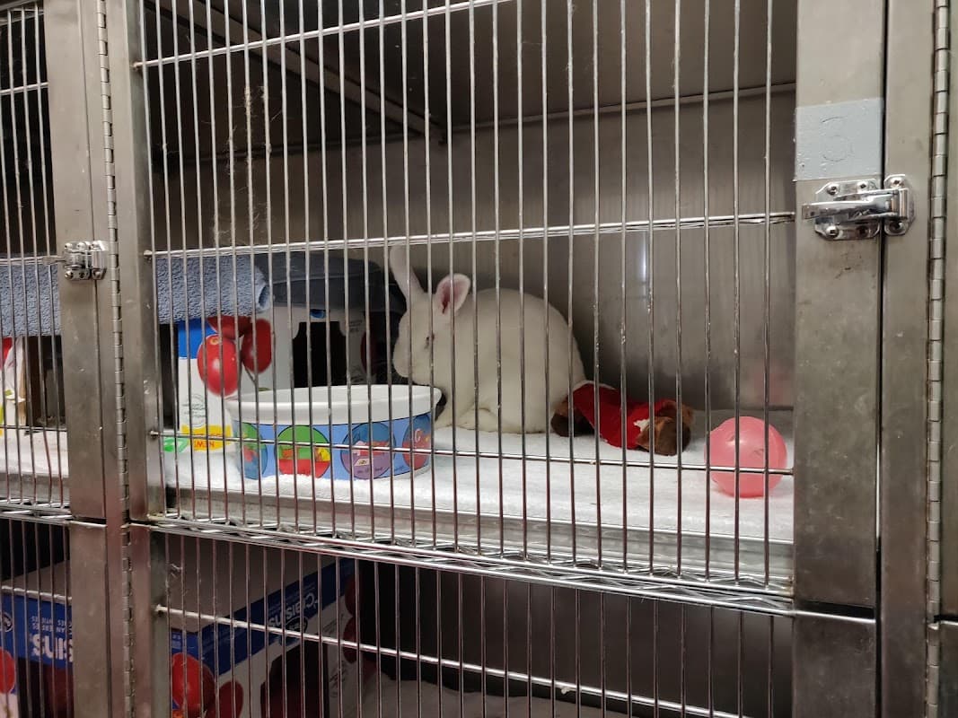 Coquitlam Animal Shelter project photo