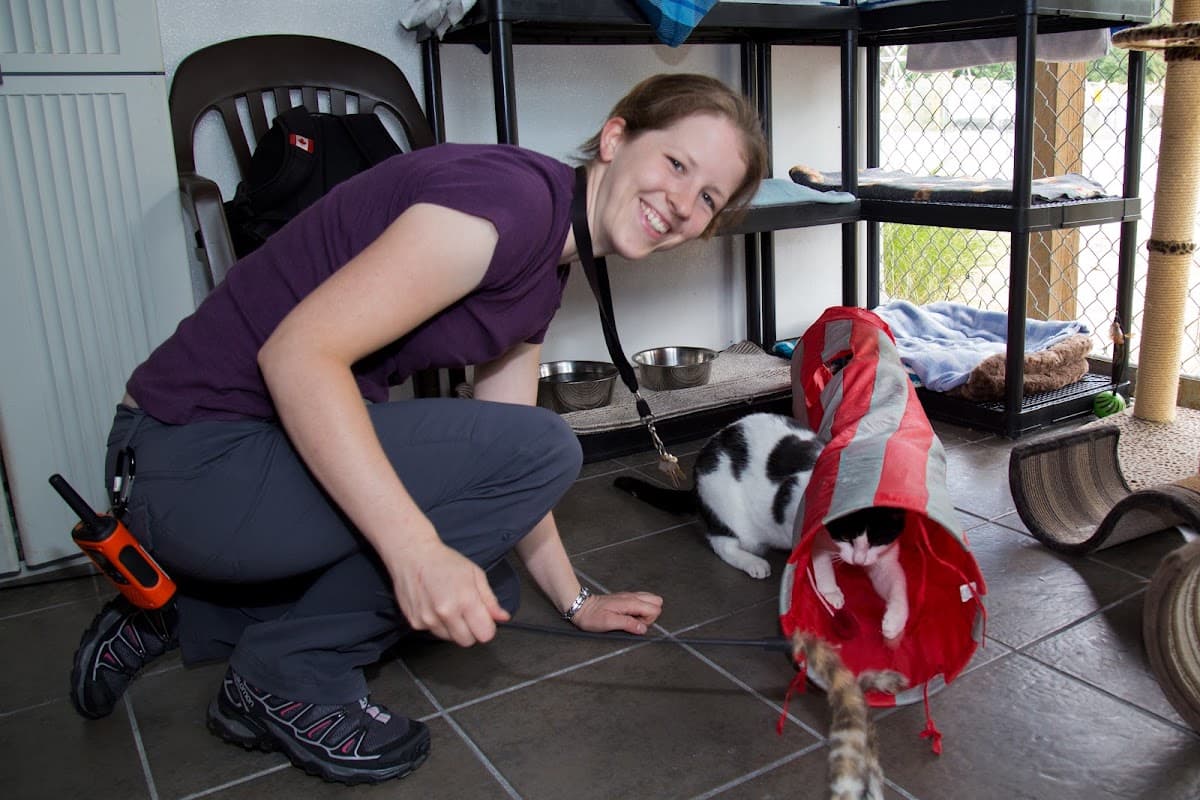 Coquitlam Animal Shelter photo 6