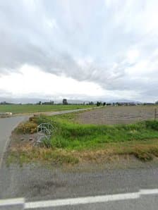 Country Green Landscaping photo 2