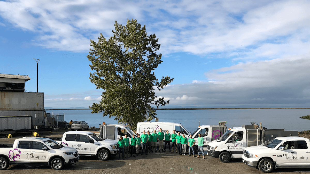 Crocus Landscaping