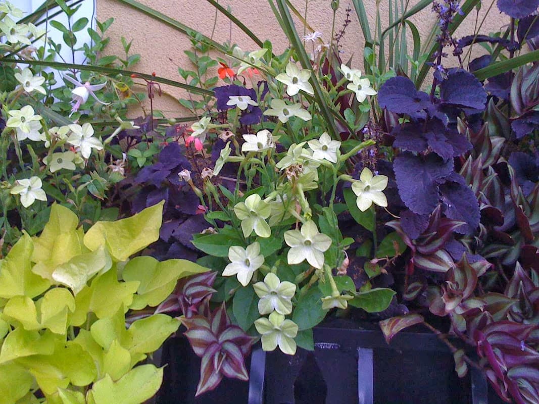 De Haas Landscape Design Ltd. photo 3