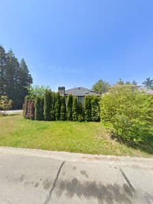 Deo Landscaping photo 3