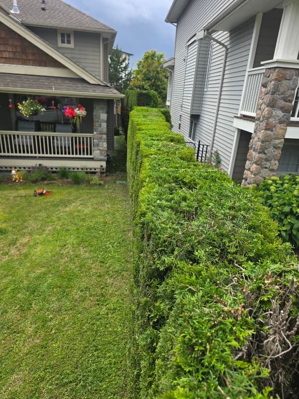 DesRoche Property Maintenance & Landscaping photo 4