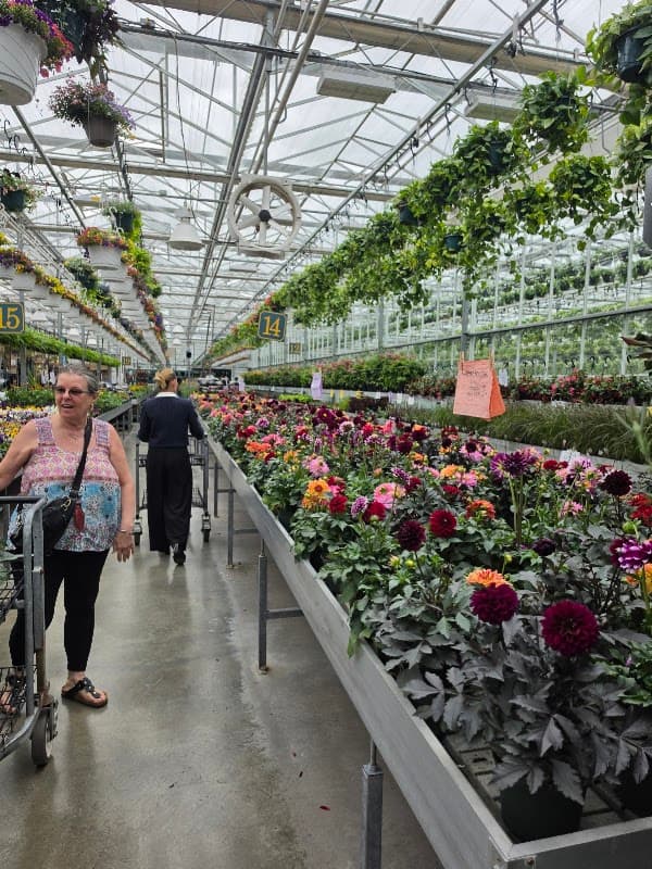 Devan Greenhouses photo 2