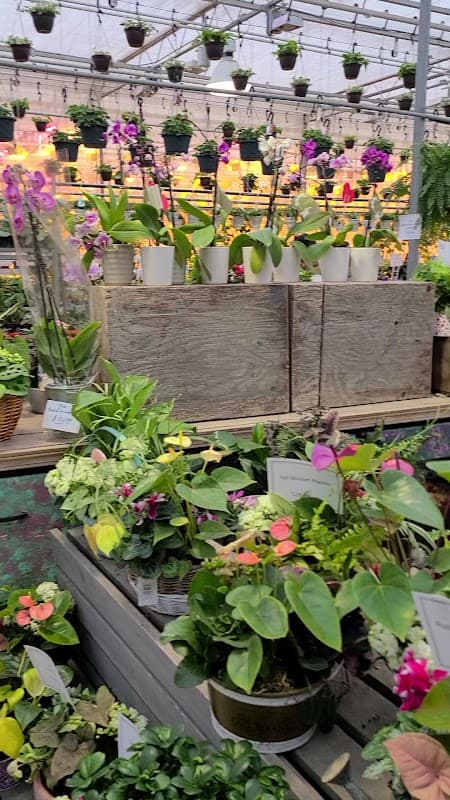 Devan Greenhouses photo 3