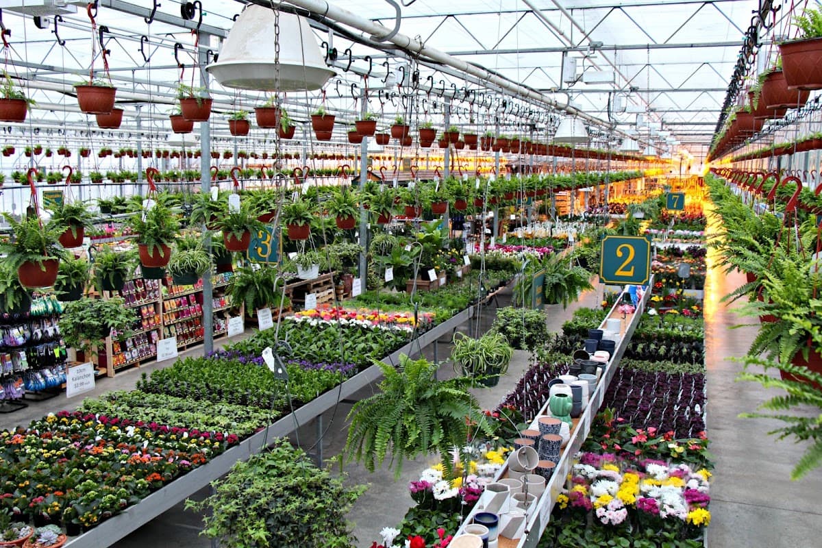 Devan Greenhouses photo 6