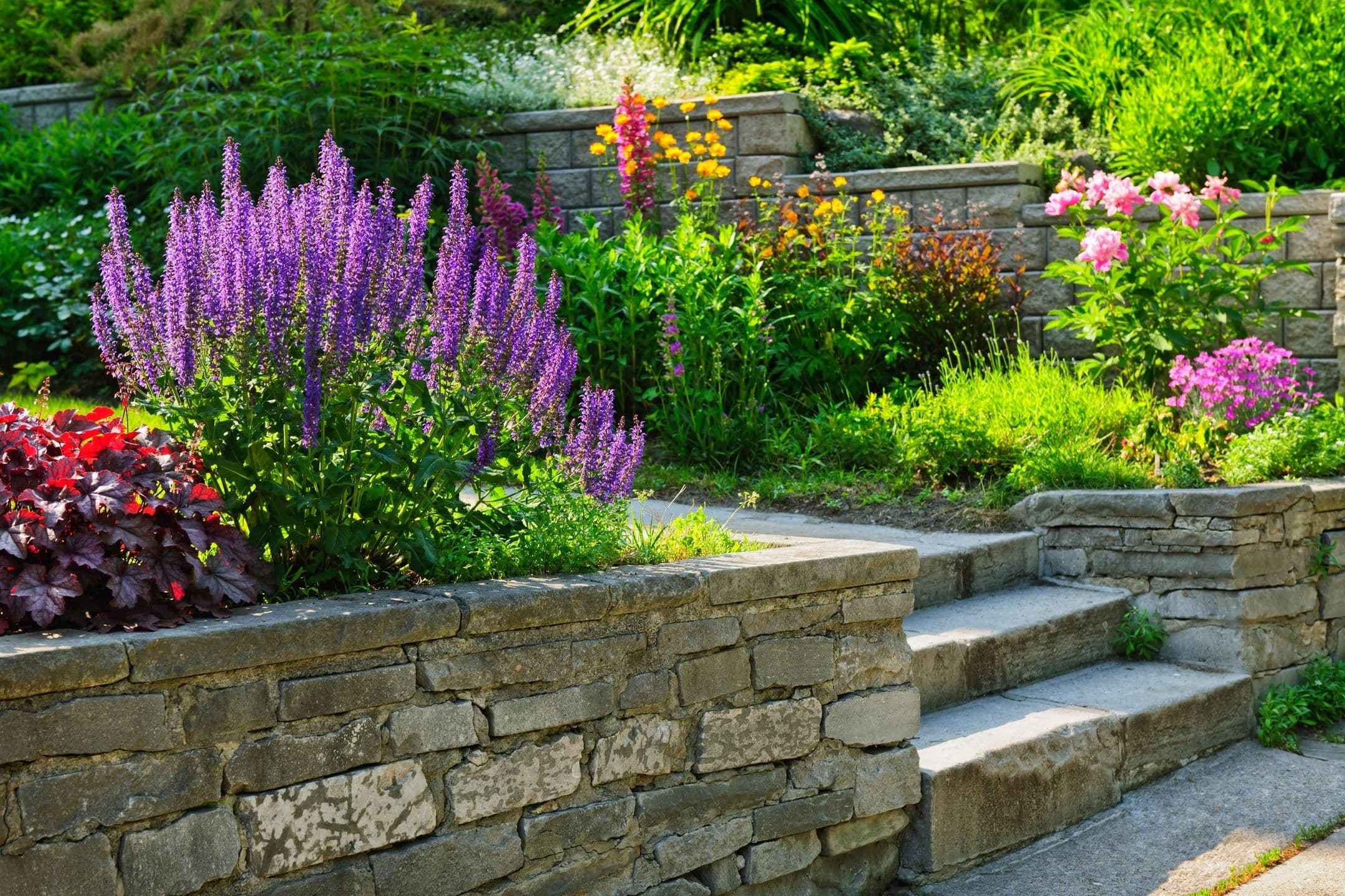Diamante Lawnscapes photo 3