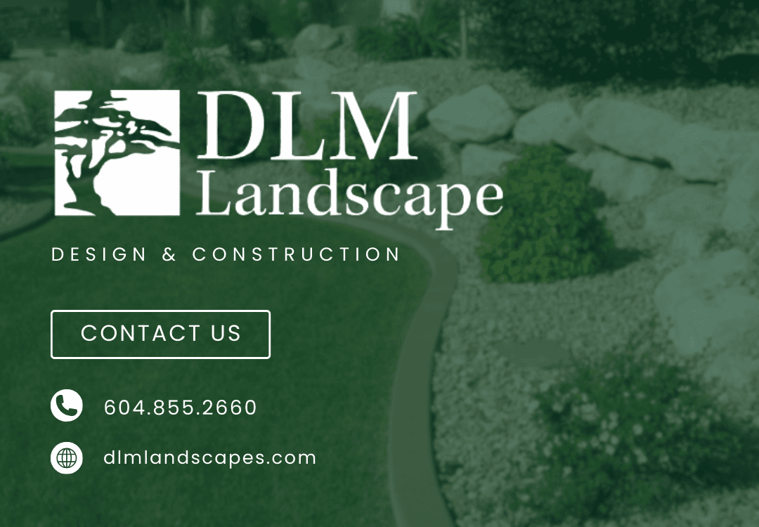 DLM Landscape project photo