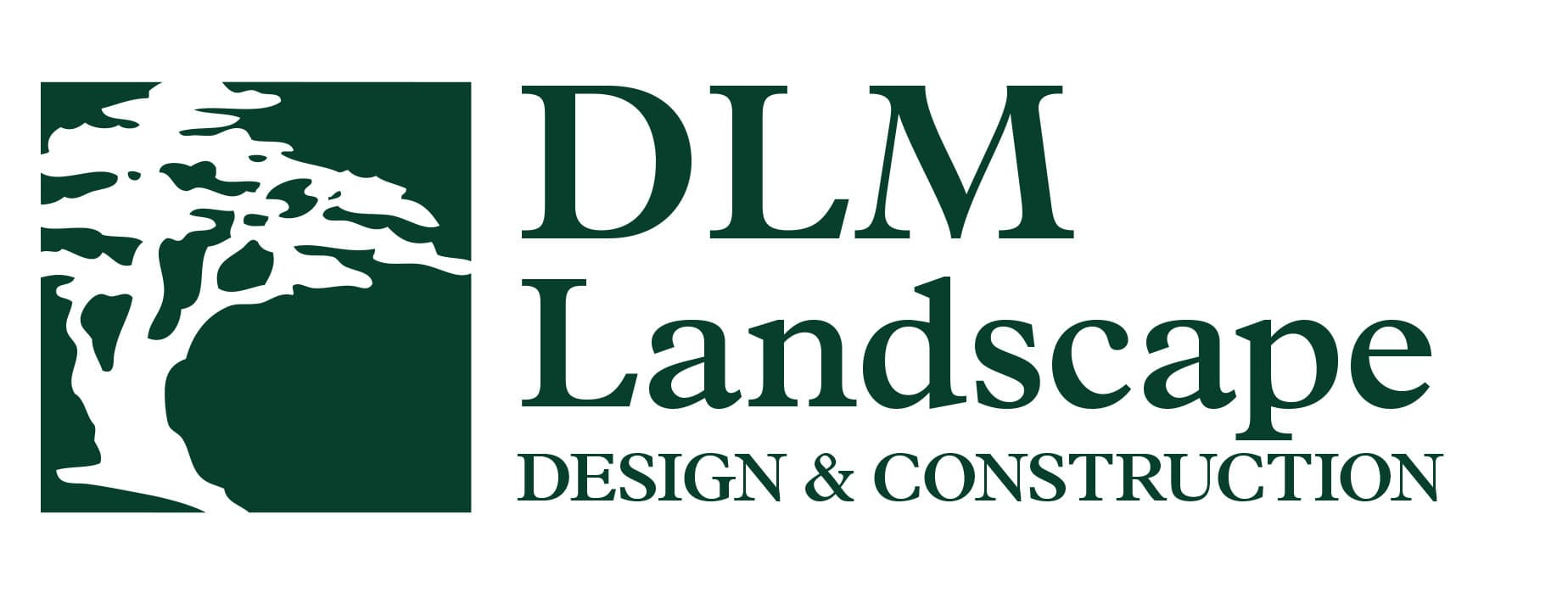 DLM Landscape photo 6