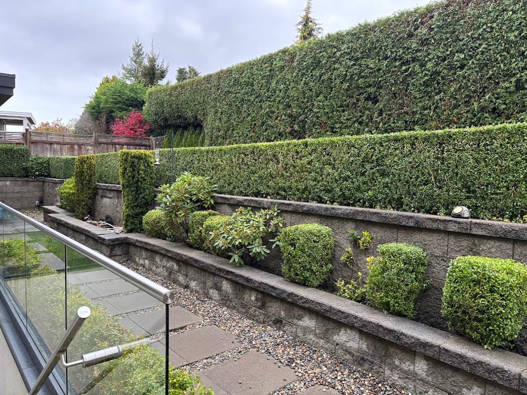 Dom&Home Landscaping photo 2