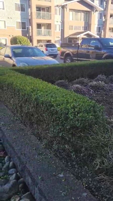 Dom&Home Landscaping photo 3
