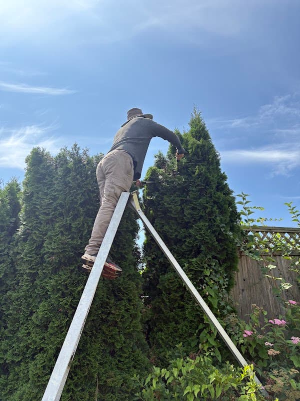 Dr. Garden Landscape Services photo 2