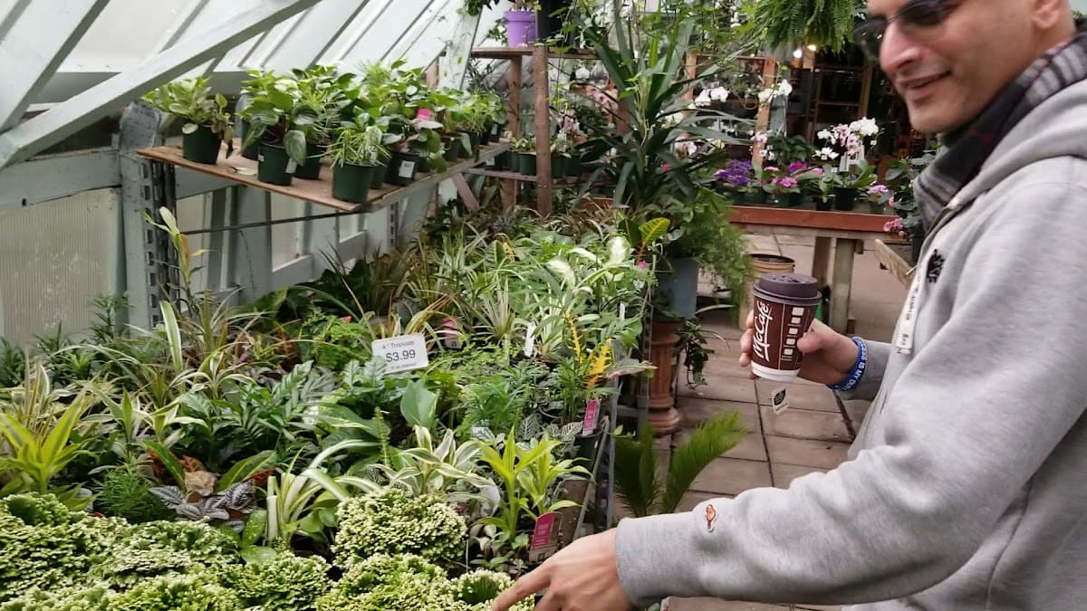 Dÿkhof Nurseries photo 3