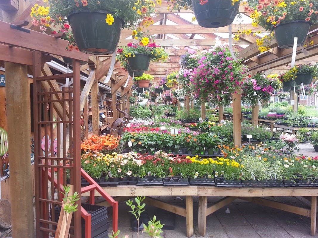 Dÿkhof Nurseries photo 4