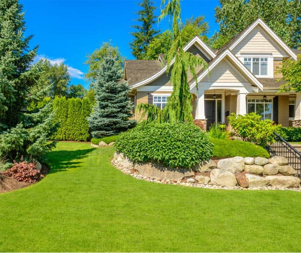 Electric Lawn Care LTD.