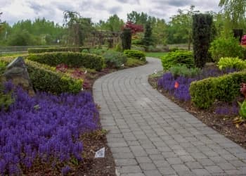 Equinox Landscape Design Inc. photo 2