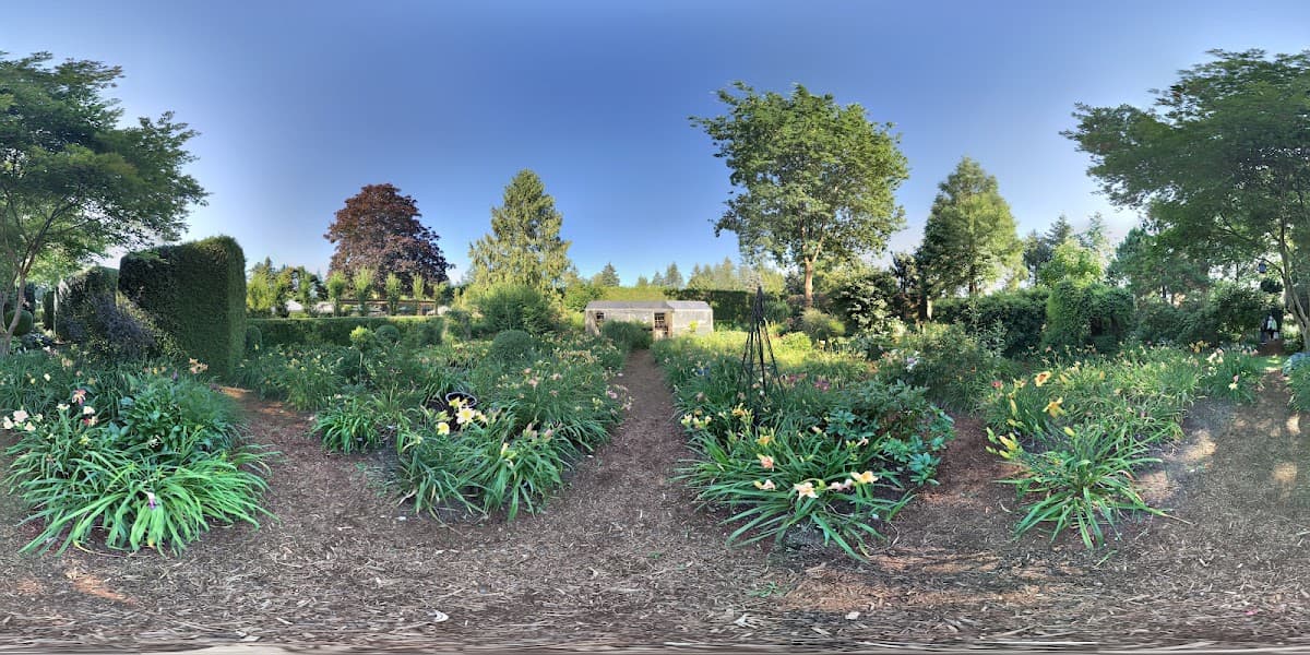 Erikson's Daylily Gardens photo 2