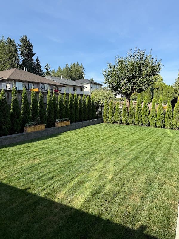 Evergreen Exterior Services project photo
