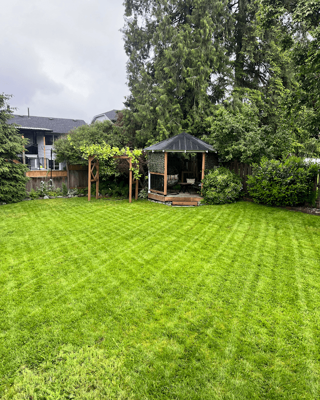 Evergreen Exterior Services photo 2
