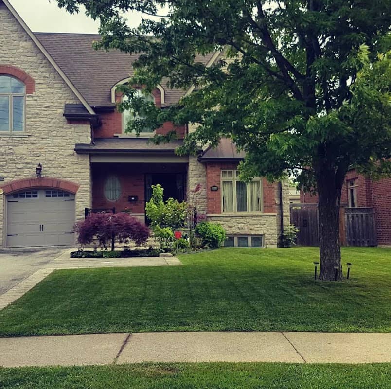 Executive Lawn Service Inc. photo 3