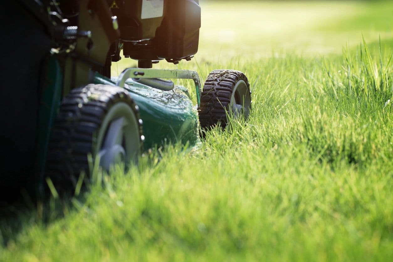 Expert Lawn Management photo 3
