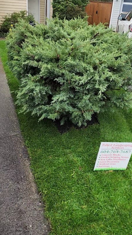 Fahed Landscaping Services Ltd photo 3