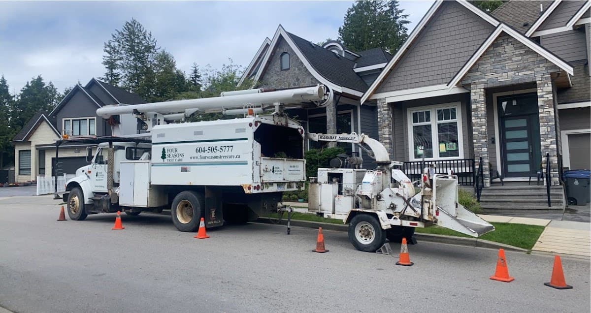 Four Seasons Tree Care project photo