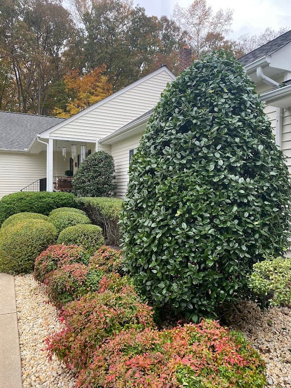 Francis Lawn Care LLC