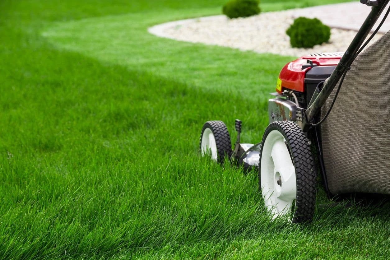 Francis Lawn Care LLC photo 3