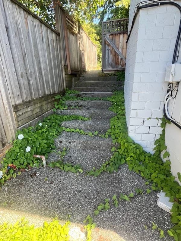 Fresh & Clean Yards