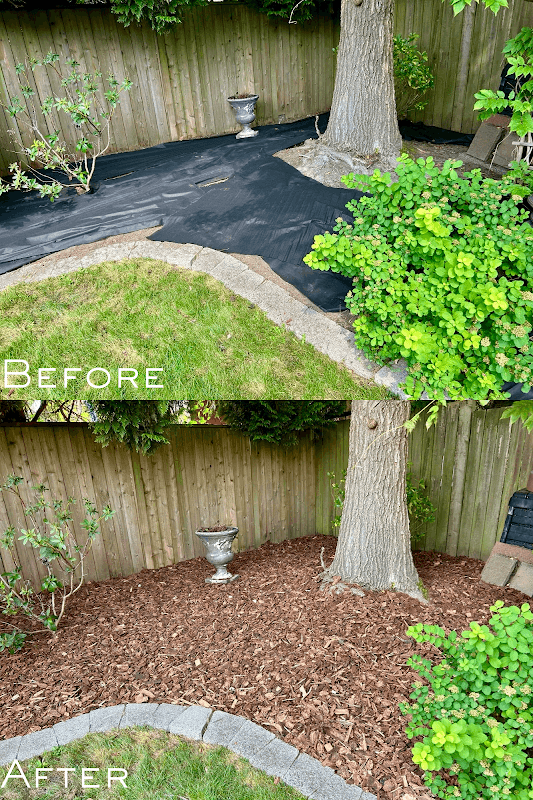 Freshway Gardening and Landscaping photo 2