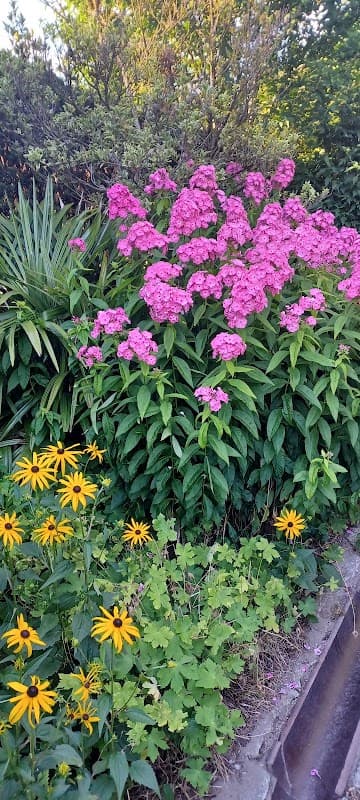 Friendship Garden photo 2