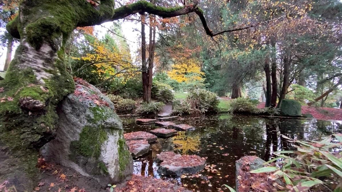 Friendship Garden photo 3