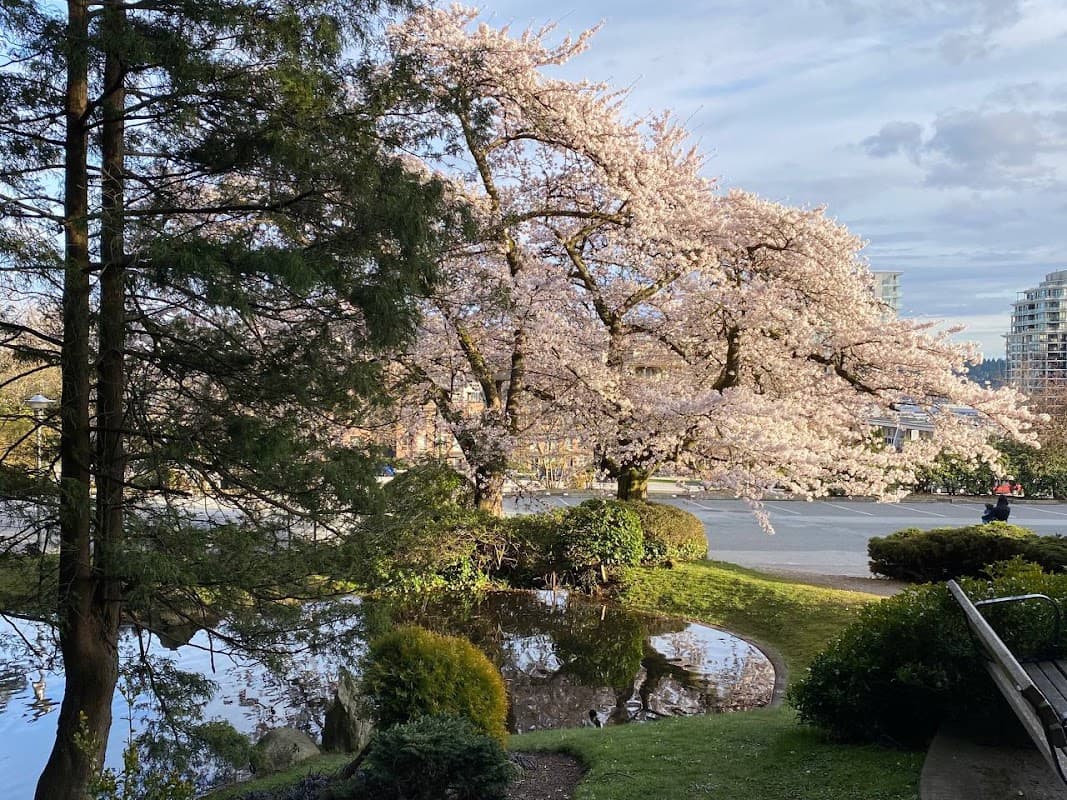 Friendship Garden photo 5