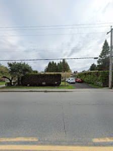 Full Spin Mowing photo 3