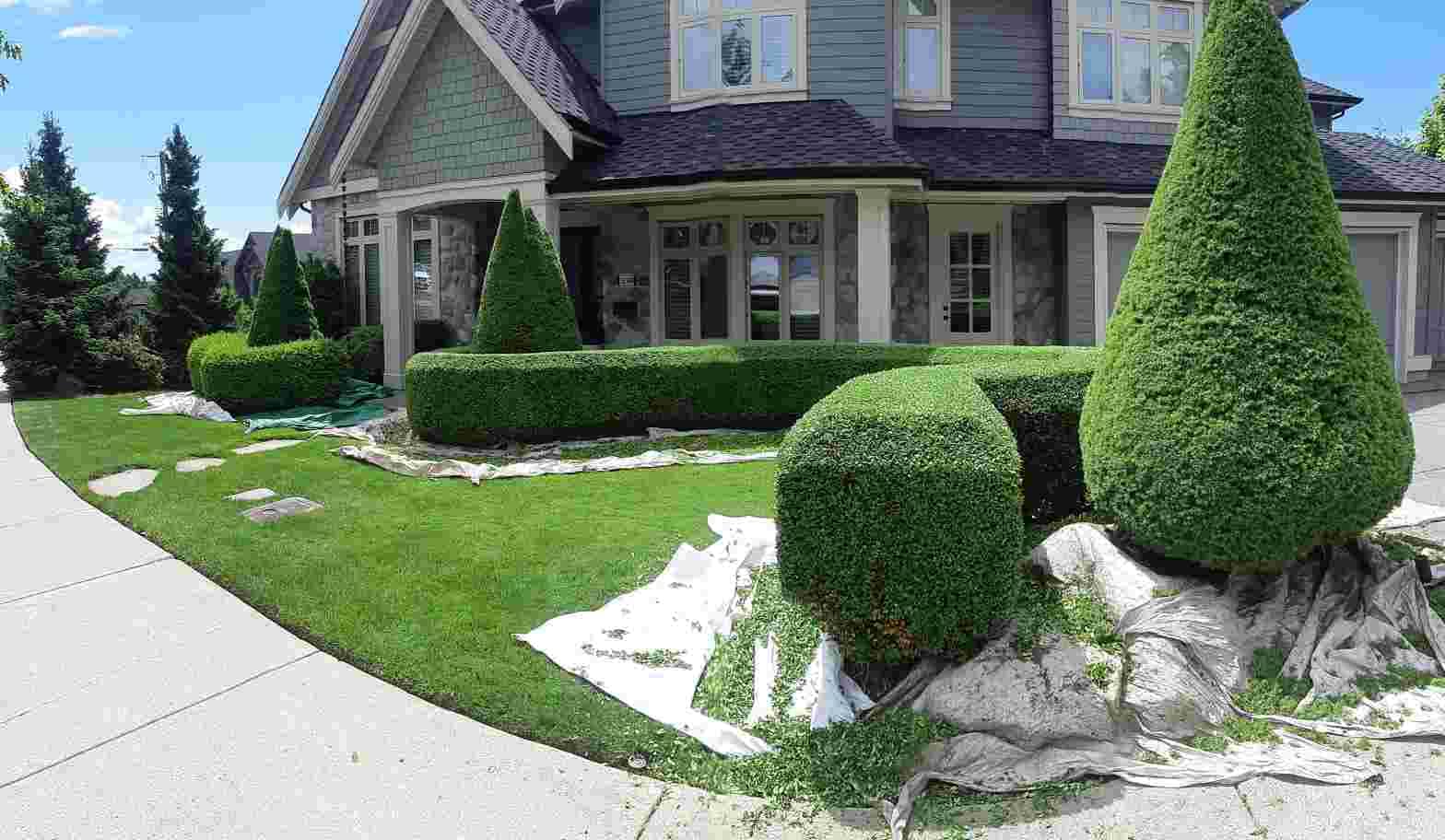Gardeners For Hire photo 6