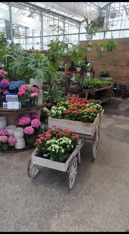 GARDENWORKS Burnaby-Lougheed photo 3