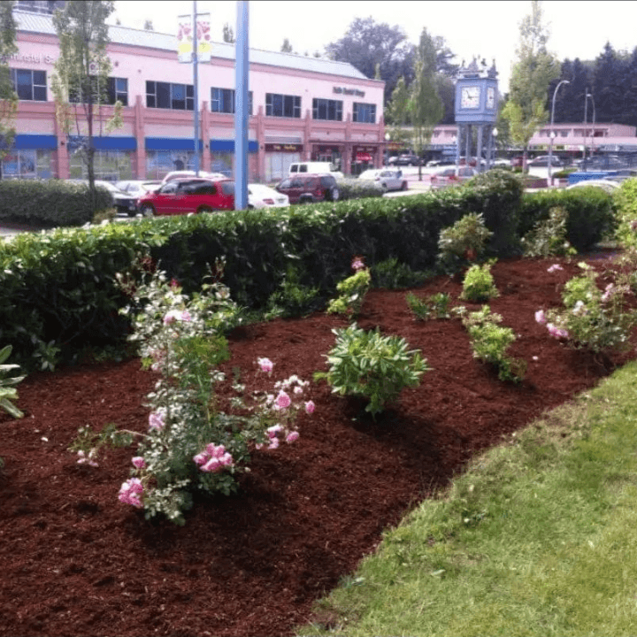 Get Growing Landscaping Ltd. photo 2