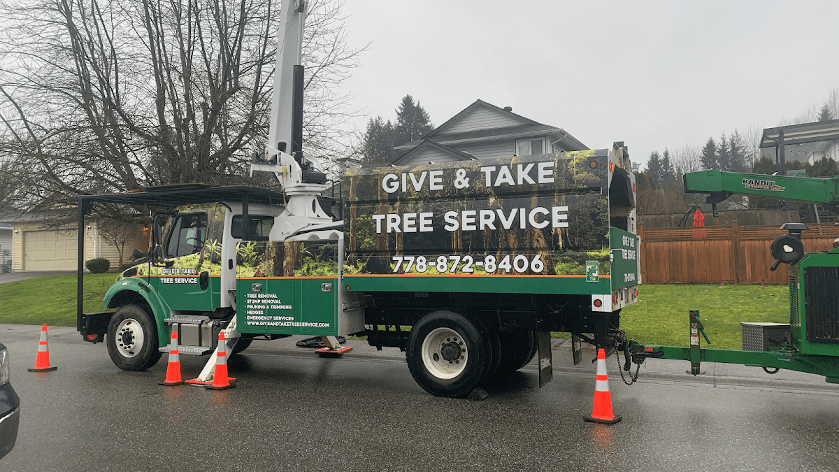 Give and Take Tree Service project photo