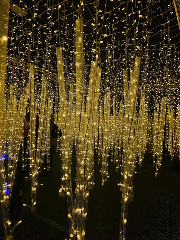 Glow Garden Centre photo 2