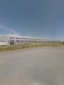 Glow Garden Centre photo 4