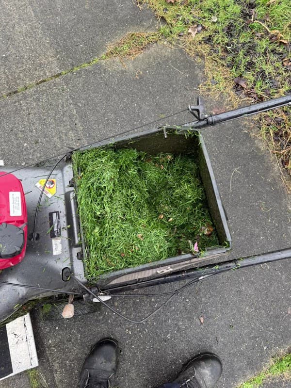 Go Green Mowing photo 3