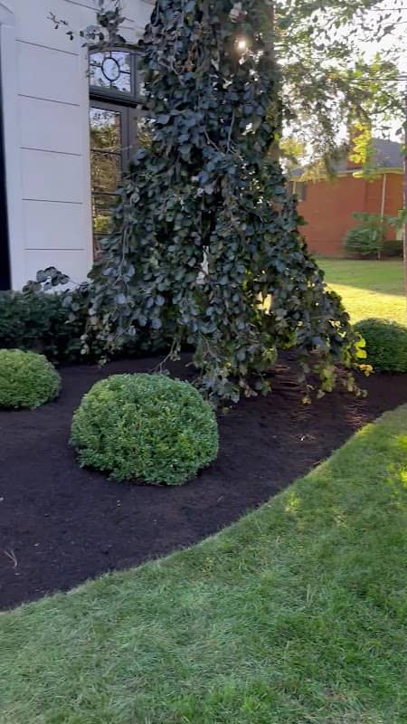 Goodsprings Landscaping photo 3