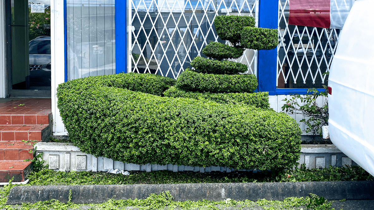 Green Bamboo Landscaping
