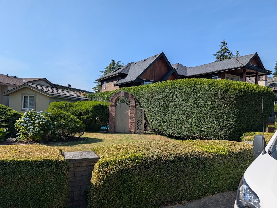 Green Cedar Landscaping project photo