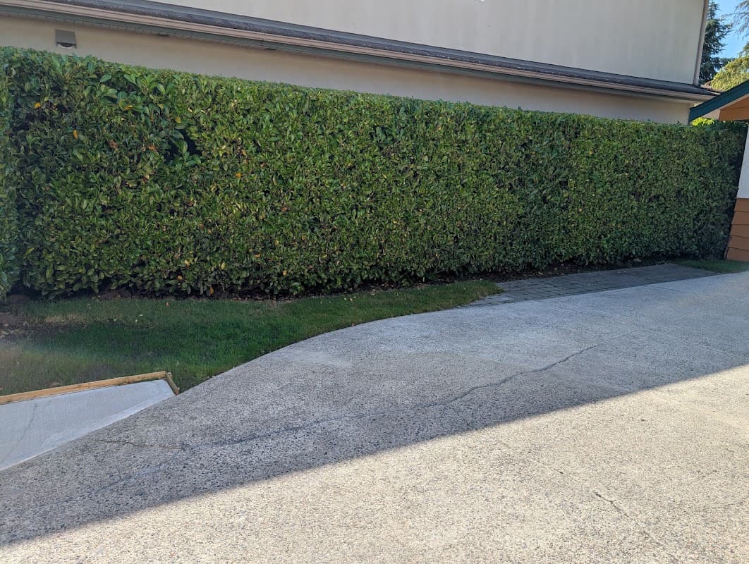 Green Cedar Landscaping photo 2