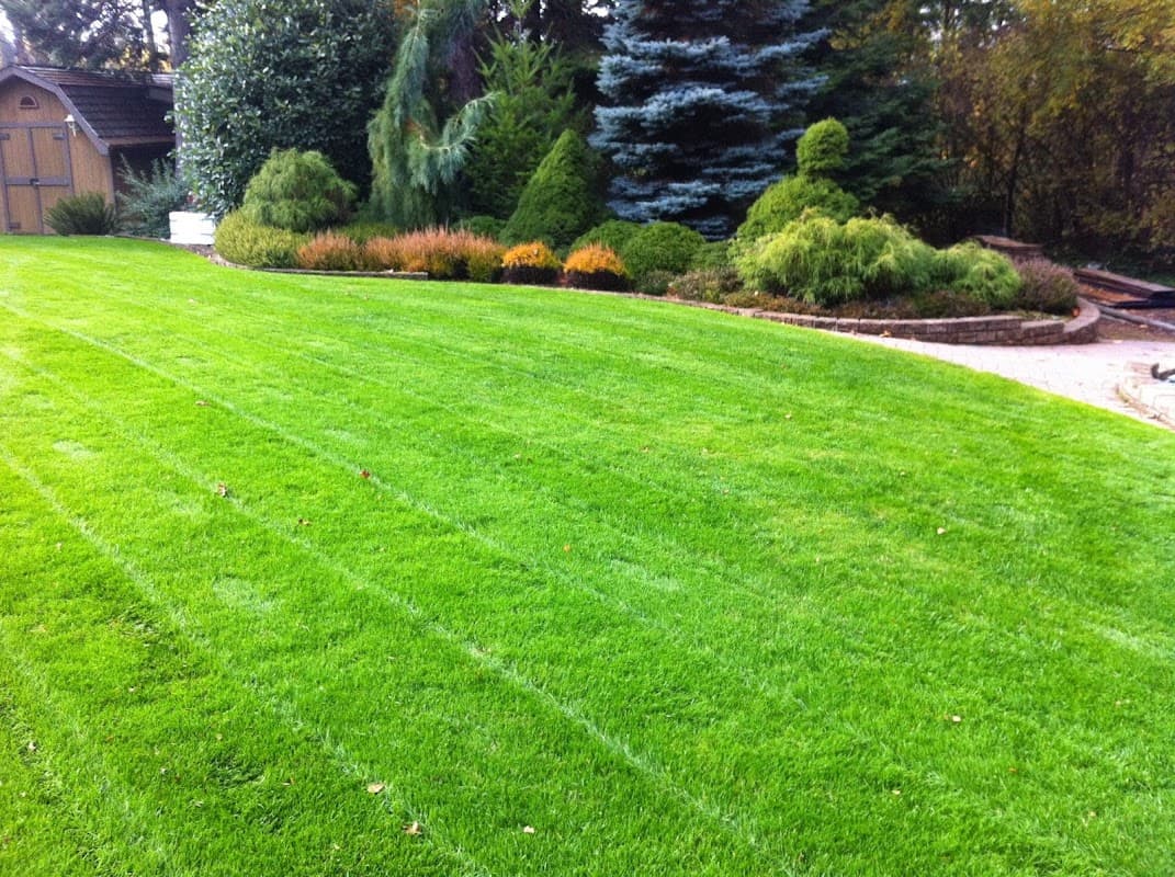Green Image Lawn and Garden photo 3